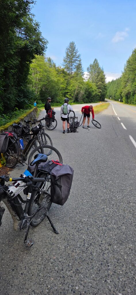Cyclists stopped along a quiet forest road while repairing a bicycle tire, with touring bikes lined up on the roadside.