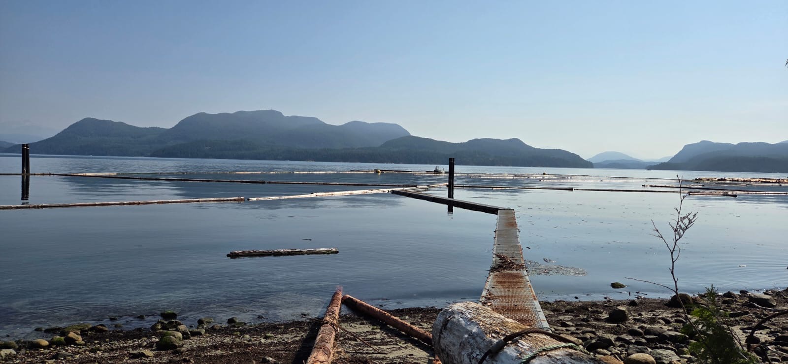 Calm coastal inlet with floating log booms, rocky shoreline, and distant forested mountains under a clear blue sky.