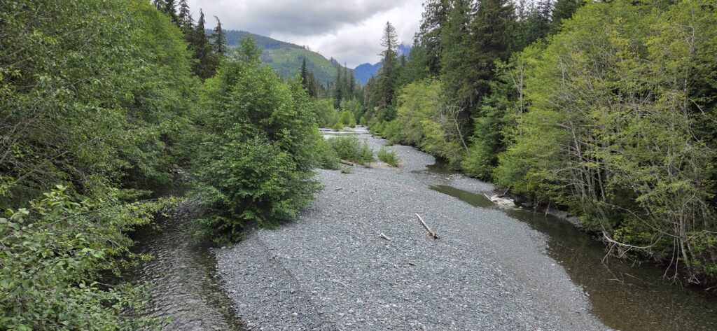 A serene river flows between dense green forests, with a pebbly shore and distant mountains under a cloudy sky.