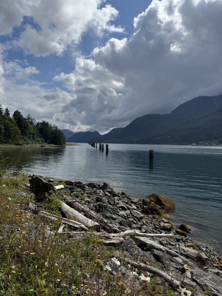 Rocky shoreline with driftwood and wildflowers beside a calm mountain lake, with forested peaks and dramatic clouds reflected on the water.