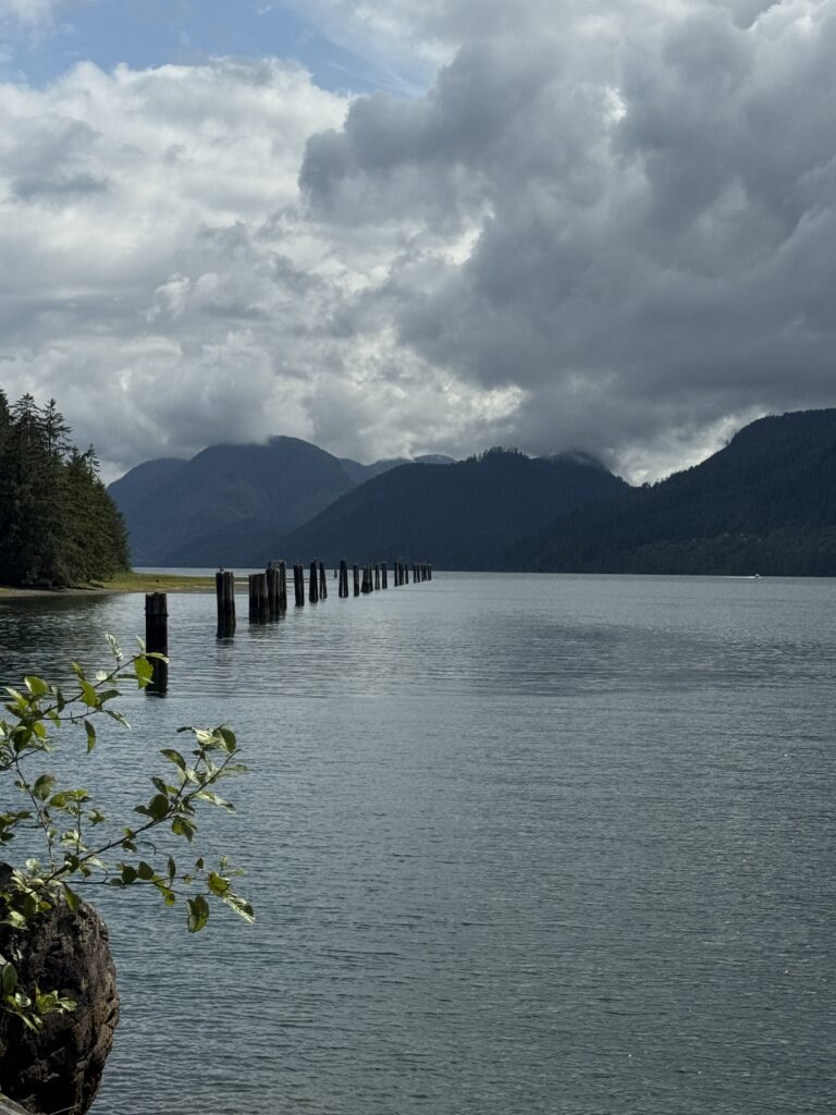 Row of weathered wooden pilings extending into a mountain lake beneath low clouds and forest-covered hills.