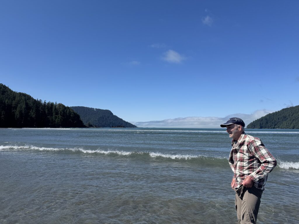 Person standing in shallow ocean water along a scenic coastal beach, with gentle waves, forested headlands, and a clear blue sky in the background.