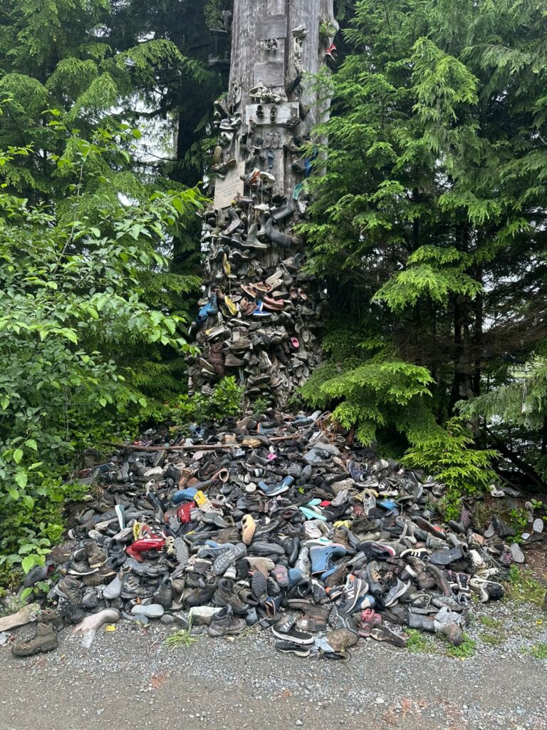 Large collection of worn shoes piled around and attached to a tall tree trunk in a dense evergreen forest, creating a unique roadside landmark.